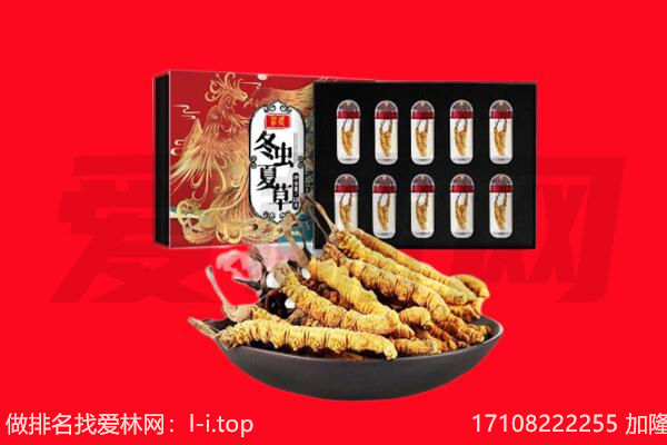 五家渠回收虫草.jpg